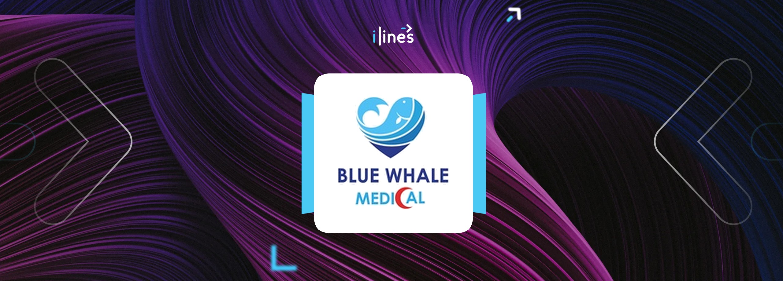 Blue Whale Medical Limited logo
